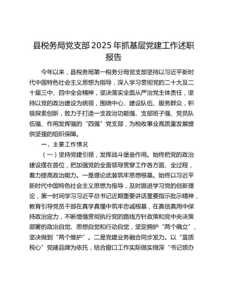 县税务局党支部2025年抓基层党建工作述职报告