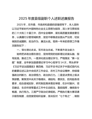 2025年度县级副职个人述职述廉报告