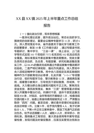XX县XX镇2025年上半年重点工作总结报告