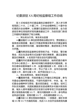 纪委派驻XX局纪检监察组工作总结