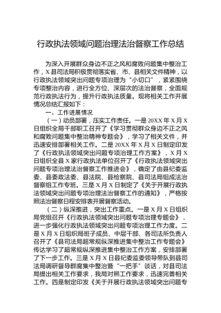 行政执法领域问题治理法治督察工作总结
