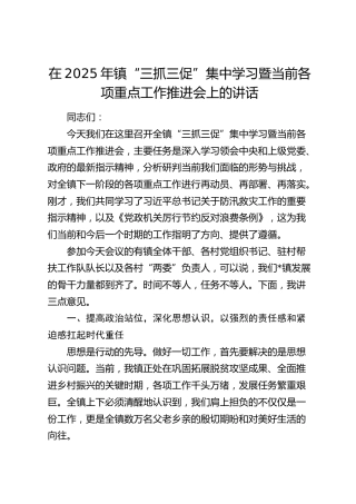 乡镇“三抓三促”集中学习暨当前各项重点工作推进会上的讲话