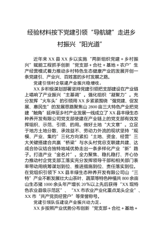 经验材料按下党建引领“导航键”走进乡村振兴“阳光道”