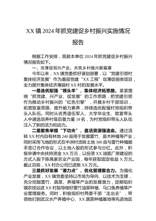 XX镇2024年抓党建促乡村振兴实施情况报告