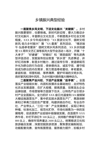 乡镇振兴典型经验