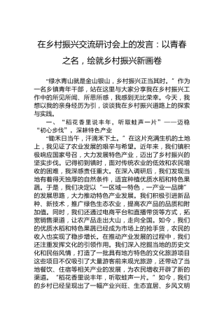 在乡村振兴交流研讨会上的发言：以青春之名，绘就乡村振兴新画卷