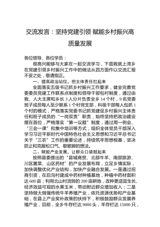 交流发言：坚持党建引领 赋能乡村振兴高质量发展