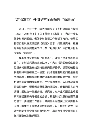 “对点发力”开创乡村全面振兴“新局面”