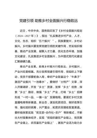 党建引领助推乡村全面振兴行稳致远