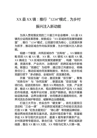 XX县XX镇党建工作：推行“1234”模式，为乡村振兴注入新动能