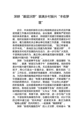 深耕“基层沃野”装满乡村振兴“丰收箩筐”