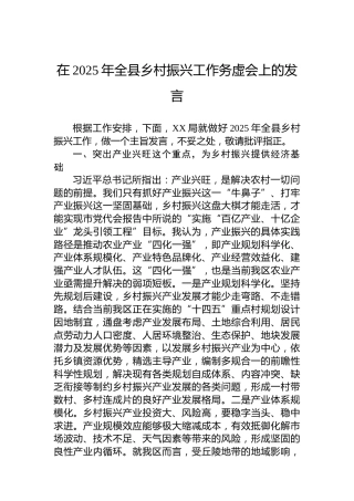 在2025年全县乡村振兴工作务虚会上的发言