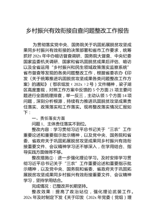 乡村振兴有效衔接自查问题整改工作报告