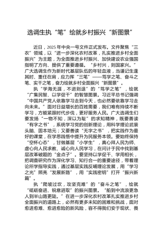 选调生执“笔”绘就乡村振兴“新图景”