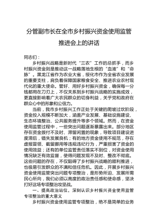 分管副市长在全市乡村振兴资金使用监管推进会上的讲话