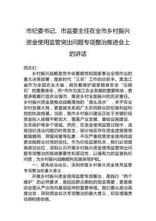 市纪委书记、市监委主任在全市乡村振兴资金使用监管突出问题专项整治推进会上的讲话