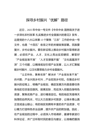 探寻乡村振兴“优解”路径
