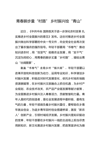 青春脚步量“村路” 乡村振兴绘“青山”