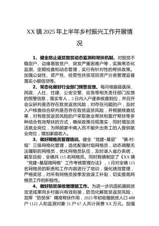 XX镇2025年上半年乡村振兴工作开展情况