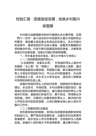 经验汇报：固堡垒促发展，绘就乡村振兴新图景