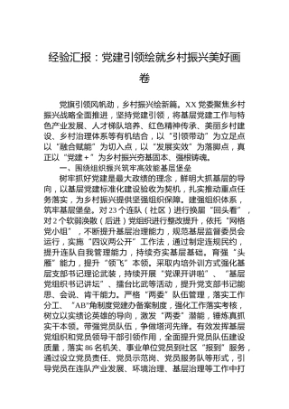 经验汇报：党建引领绘就乡村振兴美好画卷