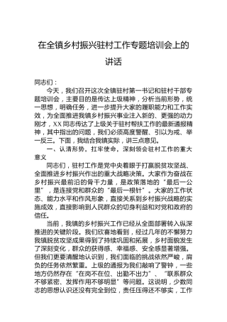 在全镇乡村振兴驻村工作专题培训会上的讲话