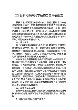 XX县乡村振兴局专题的自查评估报告
