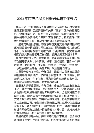 2022年市应急局乡村振兴战略工作总结（20221122）