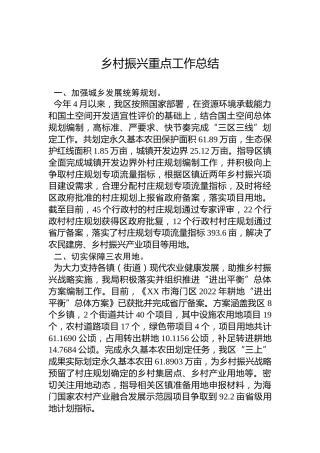 乡村振兴重点工作总结（20221121）