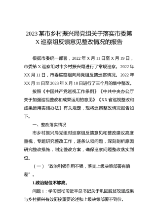 2023某市乡村振兴局党组关于落实市委第X巡察组反馈意见整改情况的报告