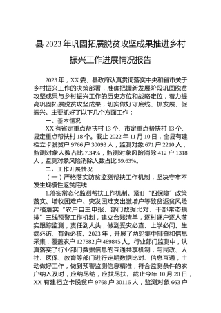 县2023年巩固拓展脱贫攻坚成果推进乡村振兴工作进展情况报告