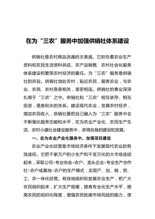 在为“三农”服务中加强供销社体系建设