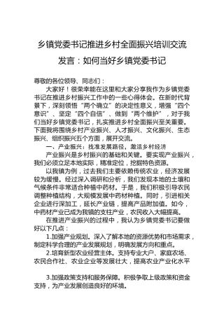乡镇党委书记推进乡村全面振兴培训交流发言：如何当好乡镇党委书记