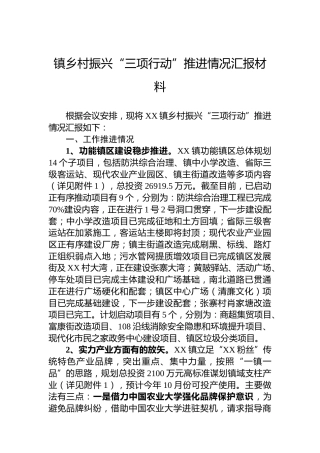 镇乡村振兴“三项行动”推进情况汇报材料