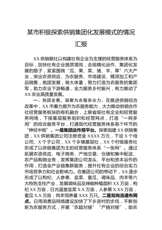 某市积极探索供销集团化发展模式的情况汇报