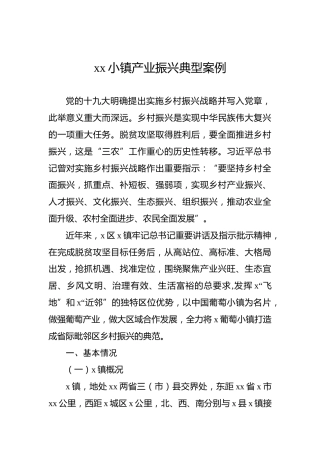 xx小镇产业振兴典型案例