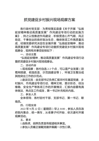 抓党建促乡村振兴现场观摩方案