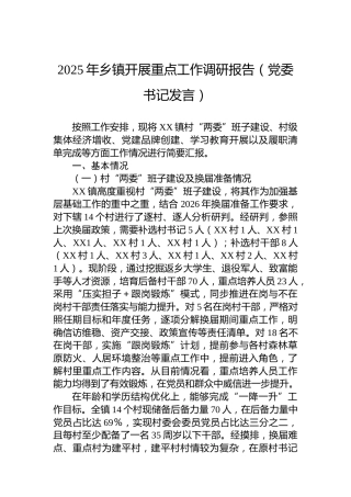 2025年乡镇开展重点工作调研报告（党委书记发言）