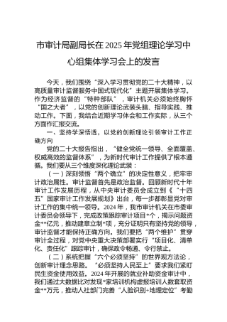 市审计局副局长在2025年党组理论学习中心组集体学习会上的发言