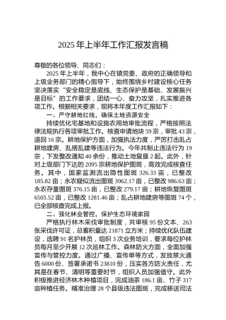 2025年上半年工作汇报发言稿