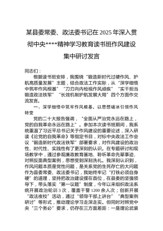 某县委常委、政法委书记在2025年深入贯彻中央八项规定精神学习教育读书班作风建设集中研讨发言