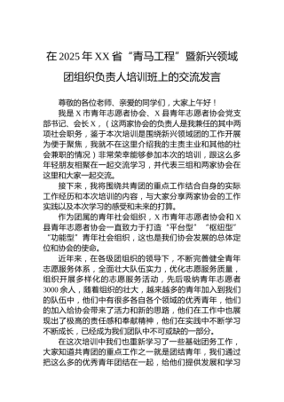在2025年XX省“青马工程”暨新兴领域团组织负责人培训班上的交流发言