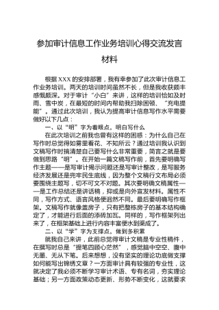 参加审计信息工作业务培训心得交流发言材料