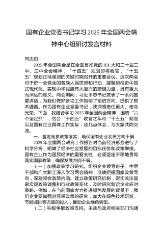 国有企业党委书记学习2025年全国两会精神中心组研讨发言材料