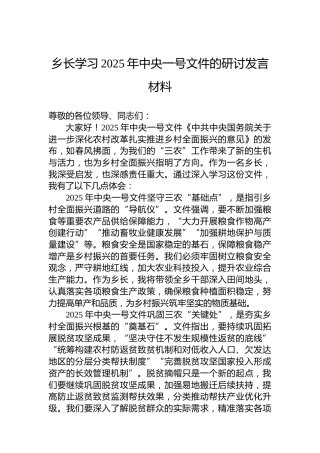 乡长学习2025年中央一号文件的研讨发言材料
