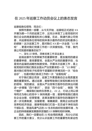 在2025年巡察工作动员会议上的表态发言