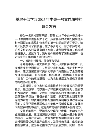 基层干部学习2025年中央一号文件精神的体会发言