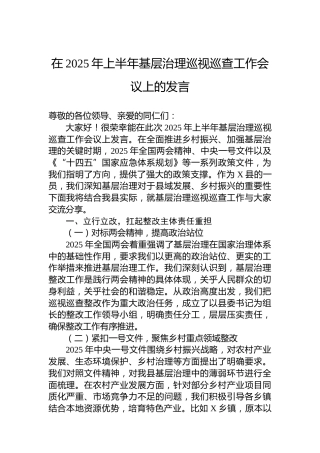 在2025年上半年基层治理巡视巡查工作会议上的发言