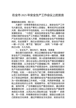 在全市2025年安全生产工作会议上的发言