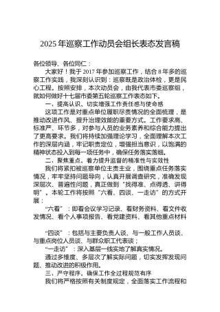 2025年巡察工作动员会组长表态发言稿